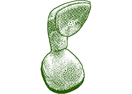 My Broke Aunt - Desc FR